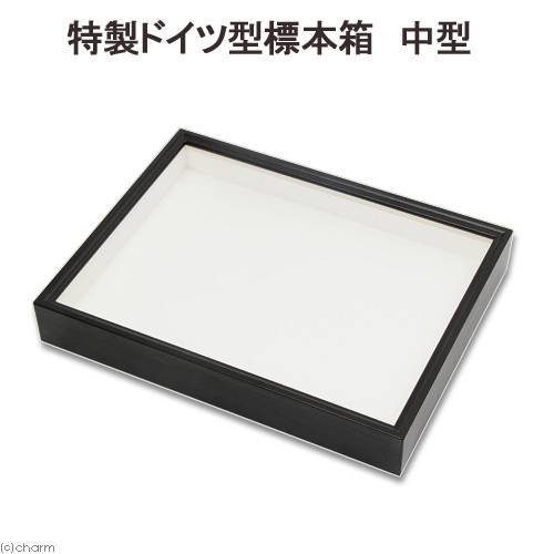 特製ドイツ型標本箱　志賀昆虫　昆虫　標本　標本箱　ＣＲＣ18―82―30―00―00