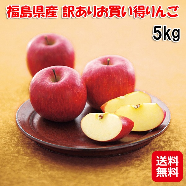 【福島県産 訳ありお買い得りんご 5kg】福島 りんご ふじ 5キロ 訳アリ サンふじりんご リンゴ サンふじ 家庭用 林檎 フルーツ 果物 訳あ