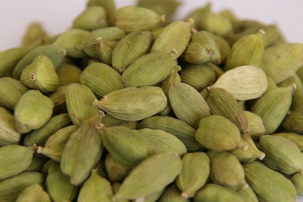 4193/【voxspice】【業務用】 オーガニック カルダモンシード 500g グアテマラ産 JAS 有機栽培 スパイス/香辛料