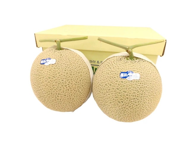 福井県 =温室マスクメロン=秀品 大玉2玉 約3.5-4kg 予約 9月以降