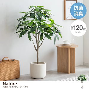 観葉植物 パキラ フェイクグリーン 人工観葉植物 インテリアグリーン 光触媒 空気清浄 消臭 抗菌 防汚 ホルムアルデヒド分解 おしゃれ 高さ120cm 人工 造花 観葉 植物 植木 鉢植え 新築祝い