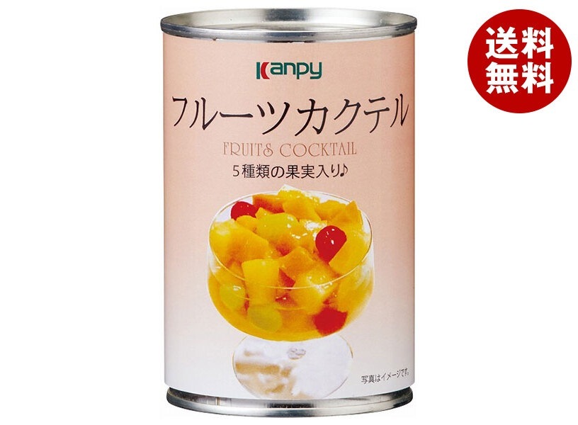 カンピー フルーツカクテル 420g缶×24個入×(2ケース)