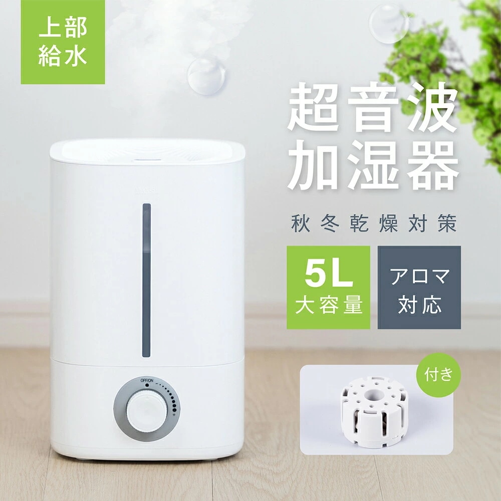 加湿器 超音波加湿器 卓上 ダイヤル式 除菌 大容量5L 無階段ミスト量調整 おしゃれ 大容量 タイマー付き 上部給水型加湿器 アロマ対応 空気清浄 乾燥/花粉症対策 リビング 寝室 静音 節電 省エ