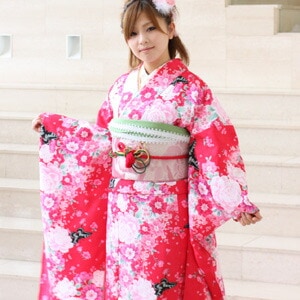 レンタル最大20日間 振袖 レンタル 成人式 セット20点フルセット 派手 ピンク ローズ 薔薇 バラ 蝶 桜成人式から結婚式やフォーマルまで 成人式応援価格