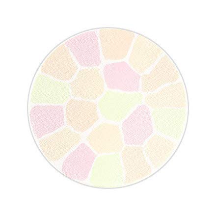 エレガンス ラ プードル オートニュアンス レフィル VI エアリー [並行輸入品]