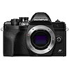 JAPAN CAMERA ジャパンカメラ