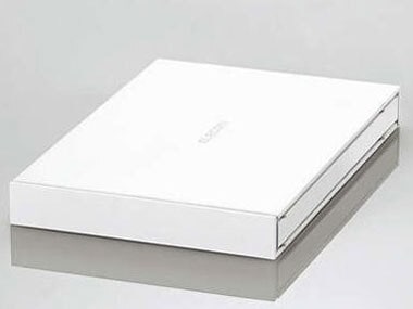 ESD-EJ2000GWHR [ホワイト] 外付けSSD USB接続 (PS4対応)2000GB