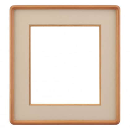 大額 色紙額 4869 色紙 チーク/ベージュ