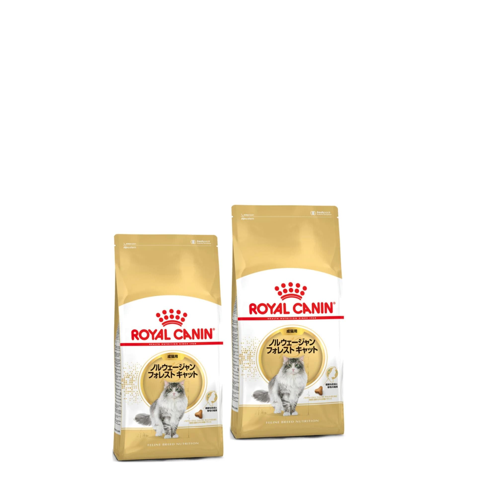 ロイヤルカナン FBN ノルウェージャンフォレストキャット 成猫用 2kg × 2