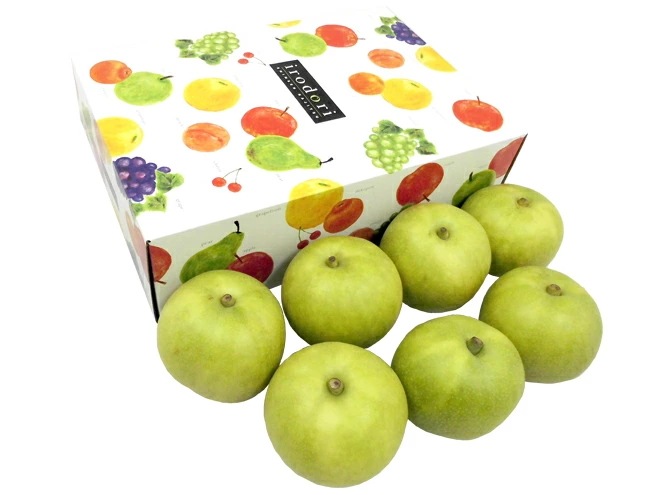 鳥取産 =ハウス二十世紀梨= 秀品 大玉 6-9玉 約2.5kg 予約 8月上旬以降