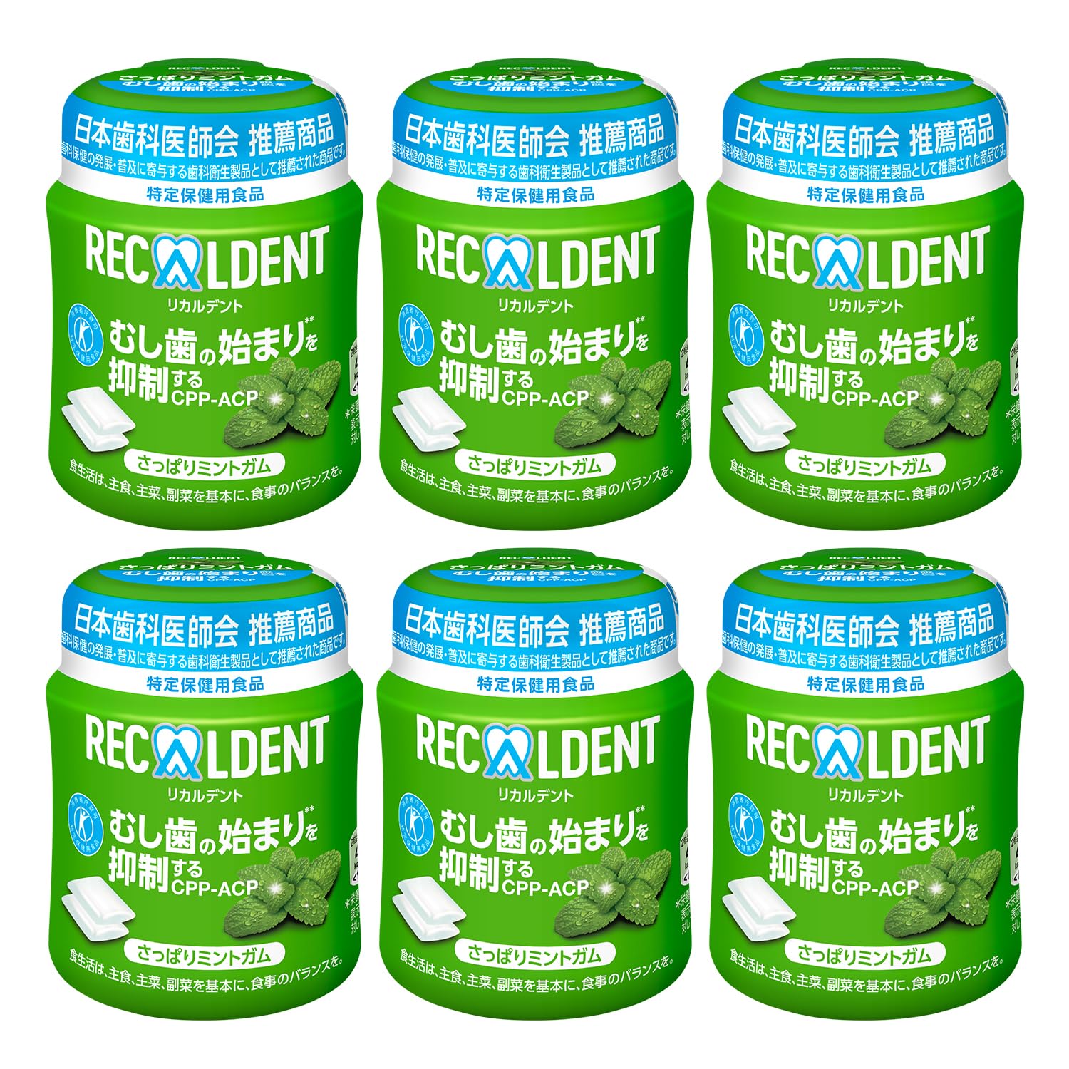 モンデリ―ズ リカルデント さっぱりミントガムボトル 135.2g×6個