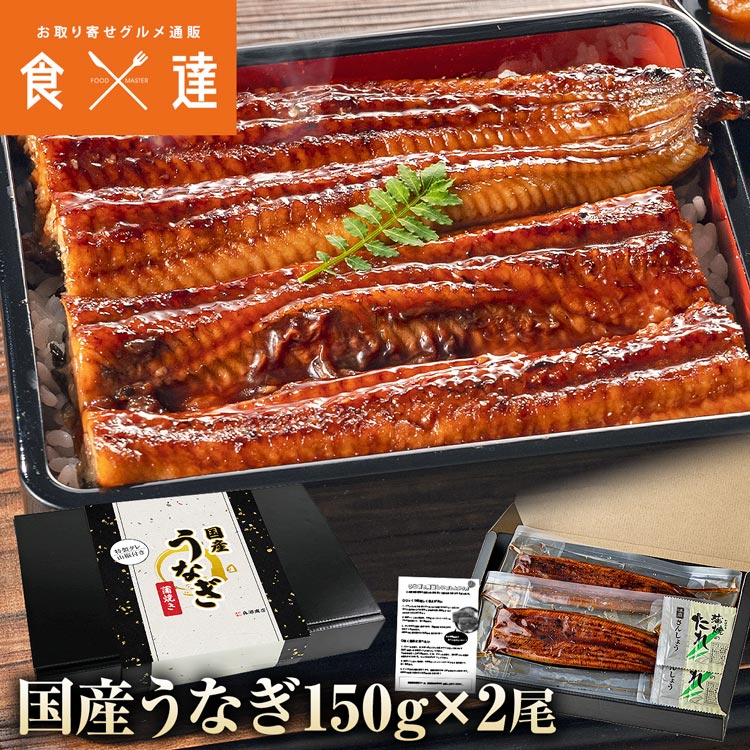 うなぎ 鰻 国産 うなぎ蒲焼き 2尾 約150gx2本 鹿児島産県 ( 鰻 うなぎ ウナギ 蒲焼 かば焼き 土用丑 土用 丑の日 スタミナ 夏) 冷凍便 お取り寄せグルメ 食品 ギフト 指