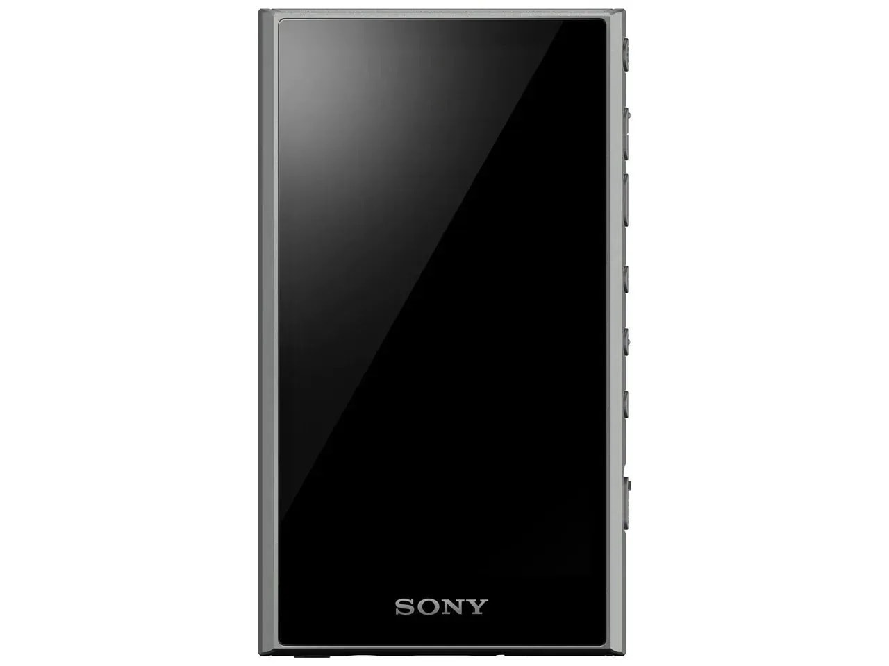 NW-A306 (H) [32GB グレー] ウォークマン ハイレゾ音源対応 WALKMAN A300シリーズ