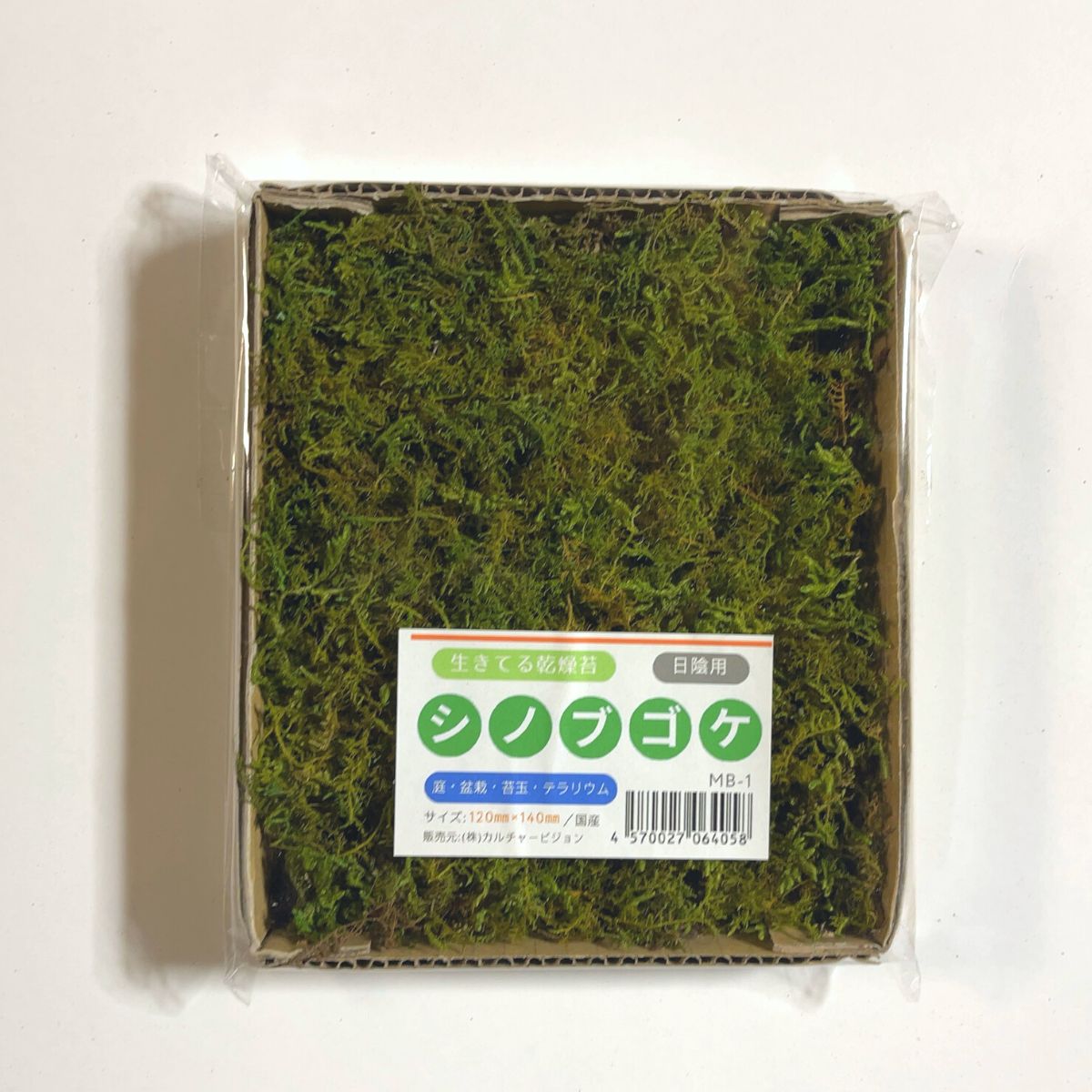 シノブゴケ 120×140mm【6個セット】苔玉 庭園 造園 盆栽 苔 ジオラマ テラリウム コケリウム 緑化 インテリア グリーン モスパネル モスウォール 花材 日本製 8,036円