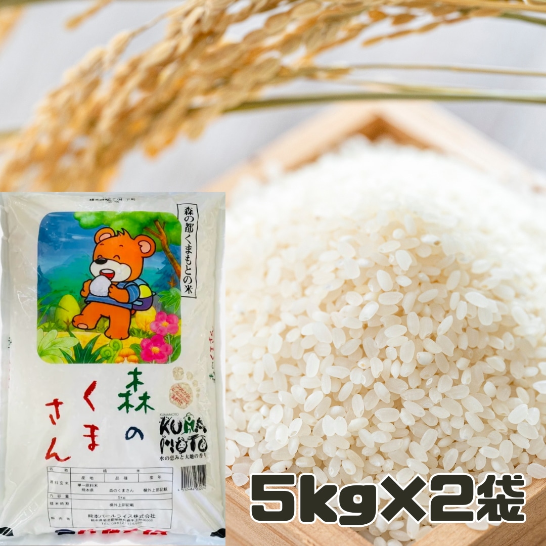 精米 熊本県産 森のくまさん 5キロ×2袋 くまもとの米 新年度産米 白米 単一原料 おこめ お米 熊本 パッケージ変更あり