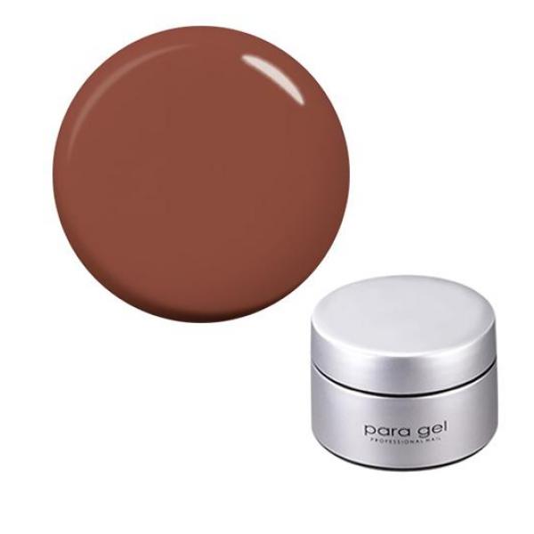 para gel(パラジェル) カラージェル S053 カネル 4g