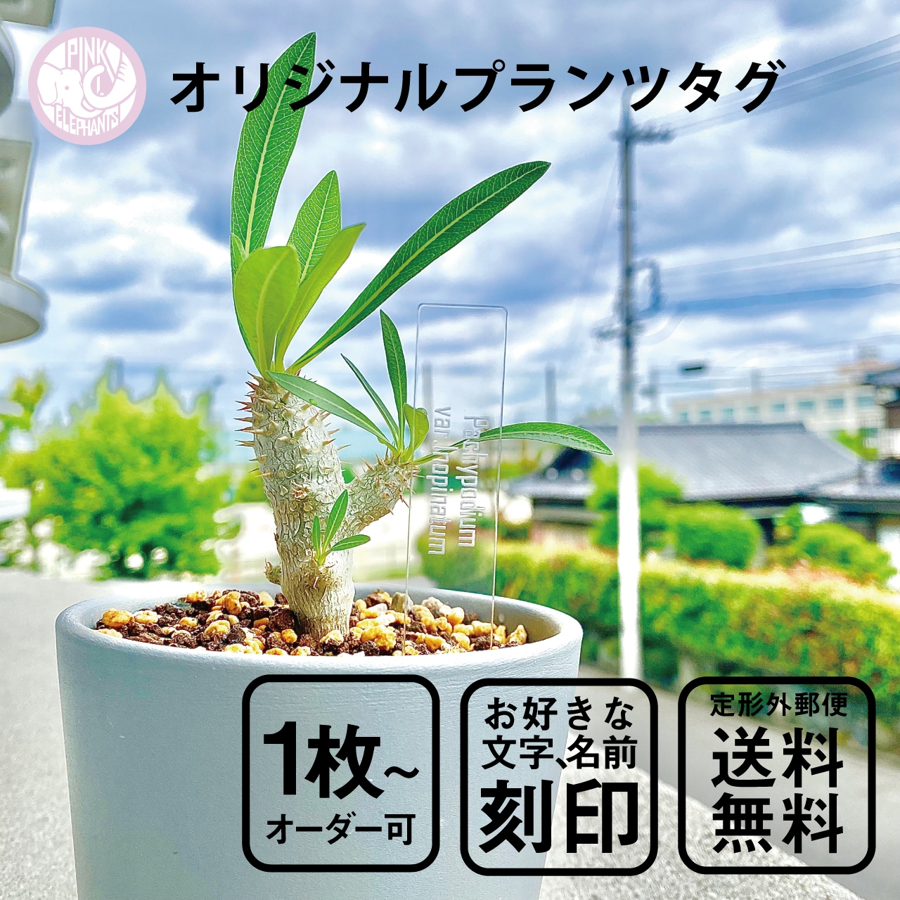 Qoo10] オリジナルプランツタグ 植物ネームプレー : ガーデニング・DIY・工具