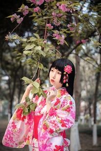 日本の着物女性ピンクアイロン素材小紋着物浴衣 10,459円