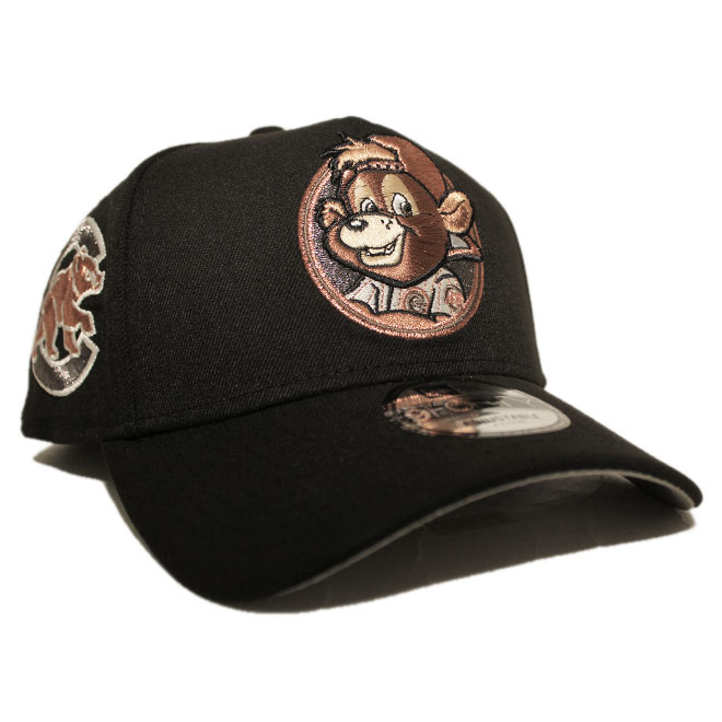 スナップバックキャップ 帽子 9forty メンズ レディース MLB シカゴ カブス フリーサイズ