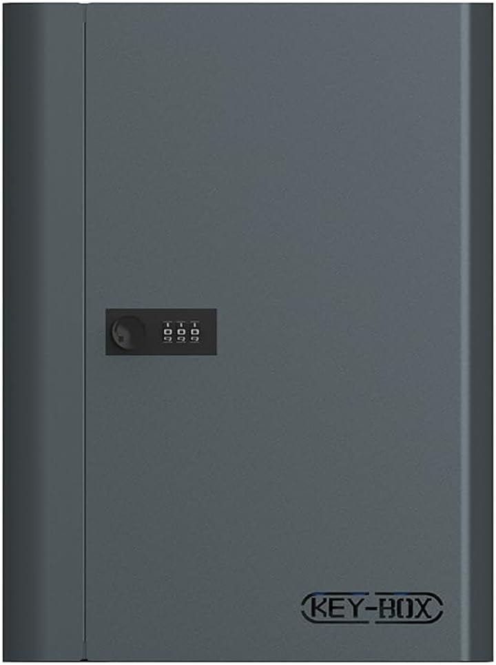 セキュリティキーボックス 壁掛け 暗証番号 ダイヤル式 3桁 keybox 鍵収納 鍵置き 防犯 盗難防止 会社 事務所 業務用 オフィス 車 玄関 別荘 (ダークグレー, 48キー)