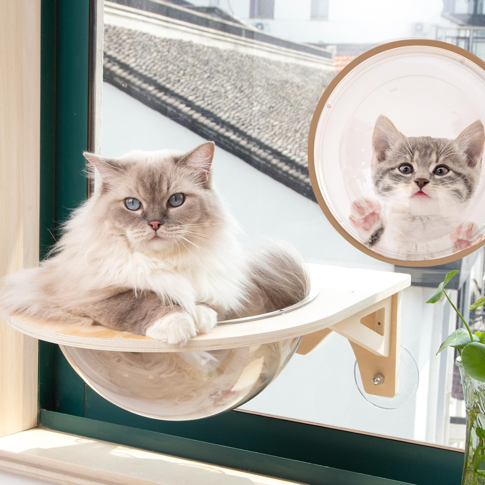 Shinyever 猫 ハンモック 猫 窓用ハンモック 猫 ハンモック 窓 宇宙船 吸盤式 透明 猫窓用ハンモック 猫窓ベッド 窓用猫ハンモック 猫窓ベッド ペットベッド キャットハンモック キャット