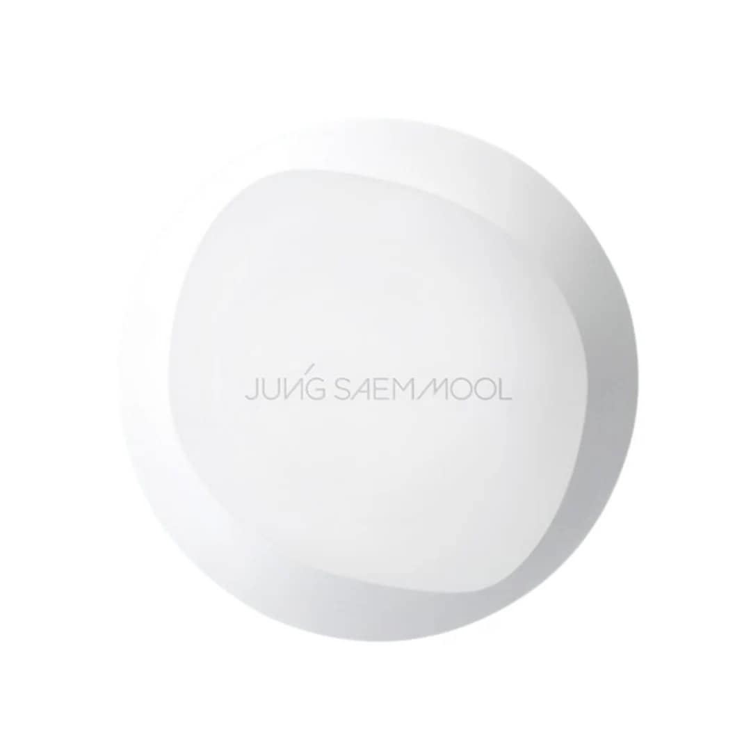 プロラスティング フィット メッシュ クッション[本品+リフィル]