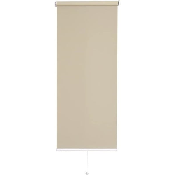 ホームテイスト SH-16-H60 壁空け不要!つっぱりロールスクリーン 幅60cm(採光タイプ) BE ベージュ メーカー直送