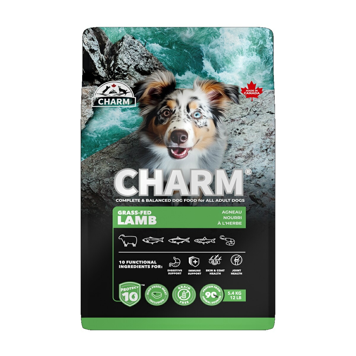 CHARM　チャーム　グラスフェッドラムドッグフード　5.4kg【ドッグフード】【正規品】