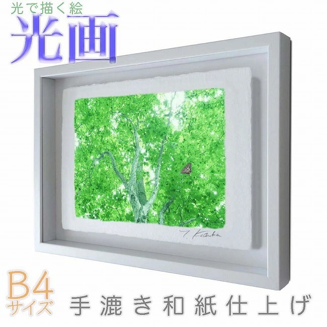 プロカメラマン片岡司 光画新緑の輝き B4サイズ 光で描く絵 手漉き和紙仕上げ 011-B4-ホワイト綺麗 背景 パステルカラー 和紙アート(21y8m)