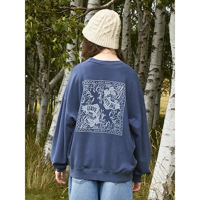 パデフリーセット (ファイトシン➕フィニッシュローション