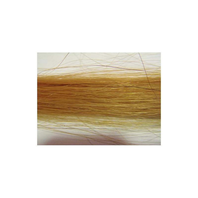 ＧＬＡＶＩＳエクステ：プラチナレミーヘアーＰ６７センチ約１００g：144