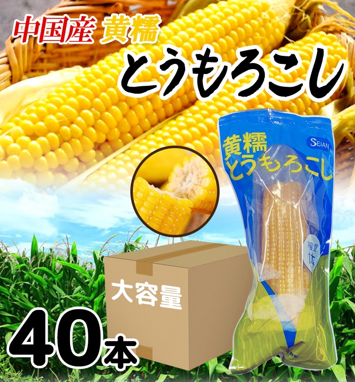 【中国産】黄糯とうもろこし 40本セット（1BOX） 大容量 大人買い もちもち とうもろこし 真空パック コーン 電子レンジOK 輸入食品 家庭用 業務用 保存食 非常食