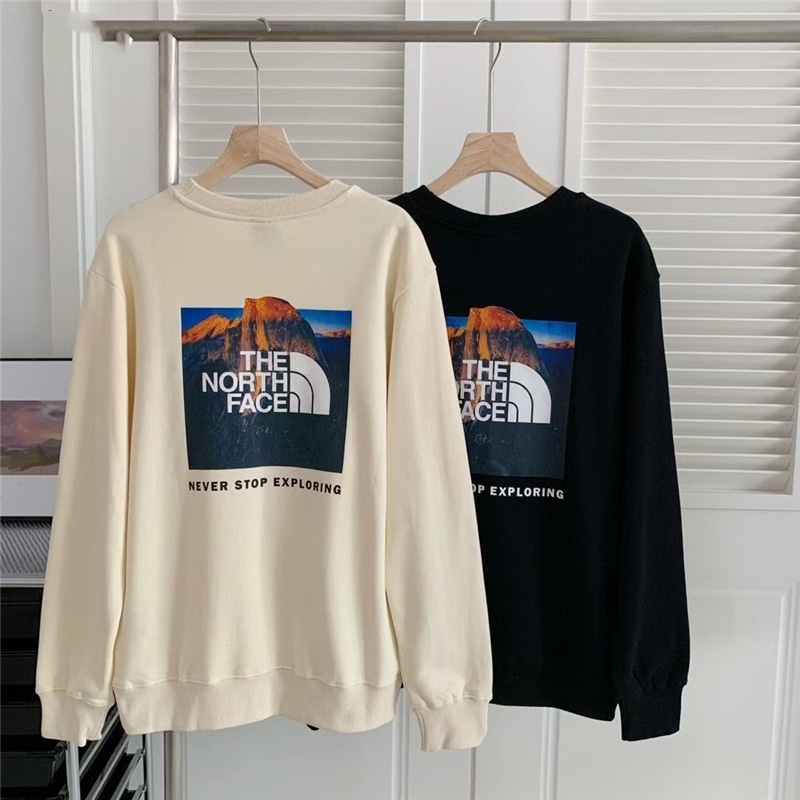 THE NORTH FACE ノースフェイス パーカー ザノースフェイス プルオーバー 海外限定モデル