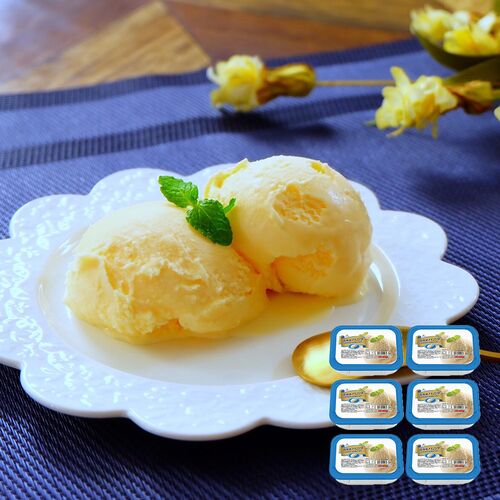 フタバ食品 【倉入れ】北海道バニラ (2000ml×6個 /ケース)x1ロット 12000ml ギフト 贈物 産地直送