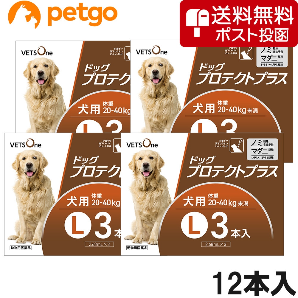 【ネコポス(同梱不可)】【4箱セット】ベッツワン ドッグプロテクトプラス 犬用 L 3本 (動物用医薬品)