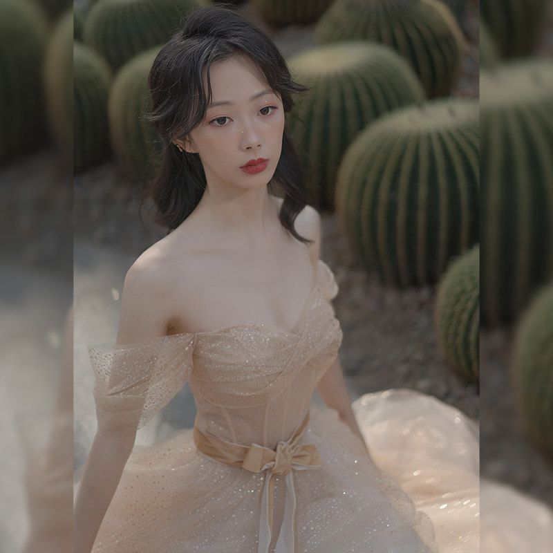 高級イブニングドレス ドレス 新作 2026ins大人気 ワンピース 宴会用上品シャンパンカラー司会者ドレス/誕生日/芸術試験用