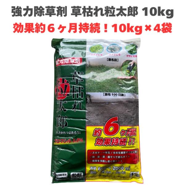 除草剤 強力 顆粒 草枯れ粒太郎 10kg×4袋 効果約6ヶ月 草丈40cm対応 土壌処理型 業務用にも 散布器 散粒器別売 粒状
