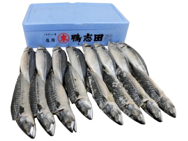 ノルウェー =塩鯖開き=16-20尾前後 約8kg 背開き 塩サバ 予約 入荷次第発送