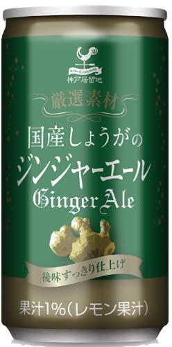 神戸居留地 厳選素材 国産しょうがのジンジャーエール 缶 185ml×20本 [ 国産生姜使用 炭酸飲料 合成甘味料・保存料・着色料 不使用 ]