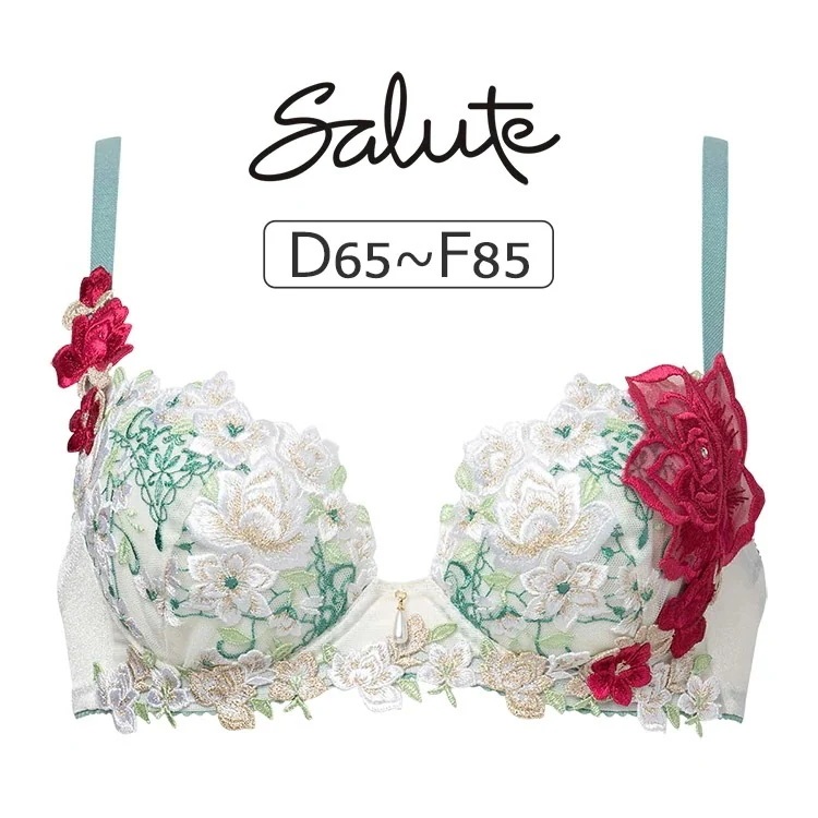 ワコール サルート 16G ブラジャー単品 P-upタイプ DEFカップ アンダー65/70/75/80/85cm BTJ416