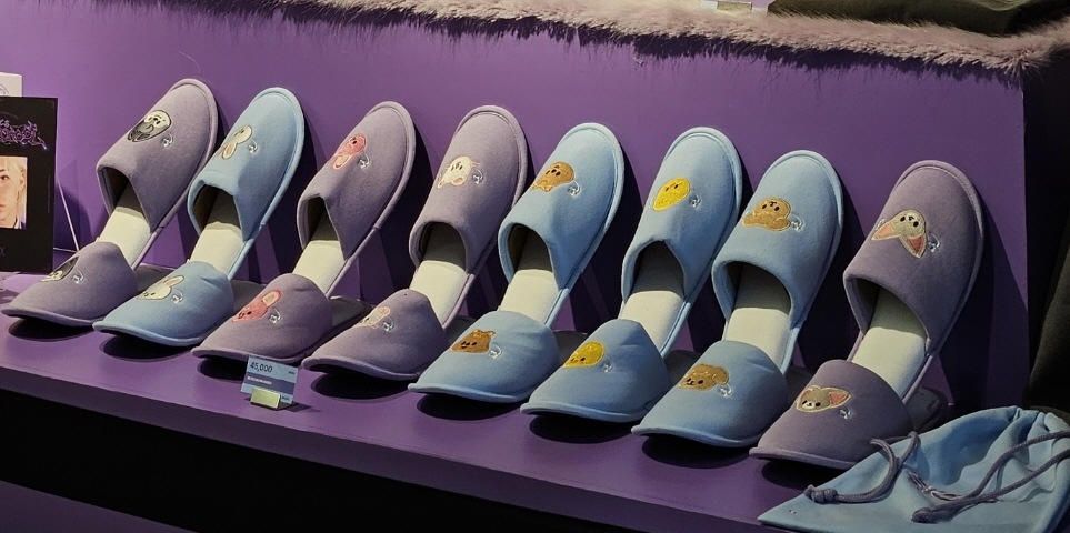 [SKZOO ROOM SHOES] 現場購入 STRAYKIDS SKZOOS MAGIC SCHOOL