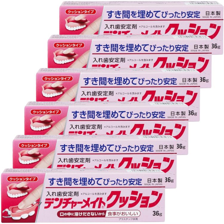 6個セット 共和 デンチャーメイトクッションB 36g 入れ歯安定剤
