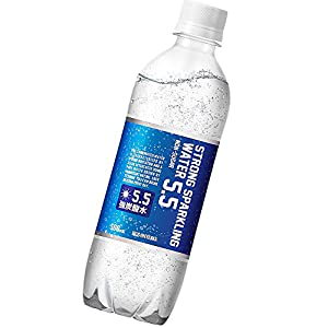 アイリスオーヤマ 炭酸水 強炭酸水 500ｍl 24本 国産 大分県日田市