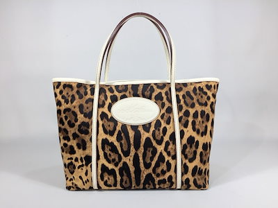 特選 フローレンス錦 フィレンツェ錦 大苗 最上級斑 発根済 抜き苗