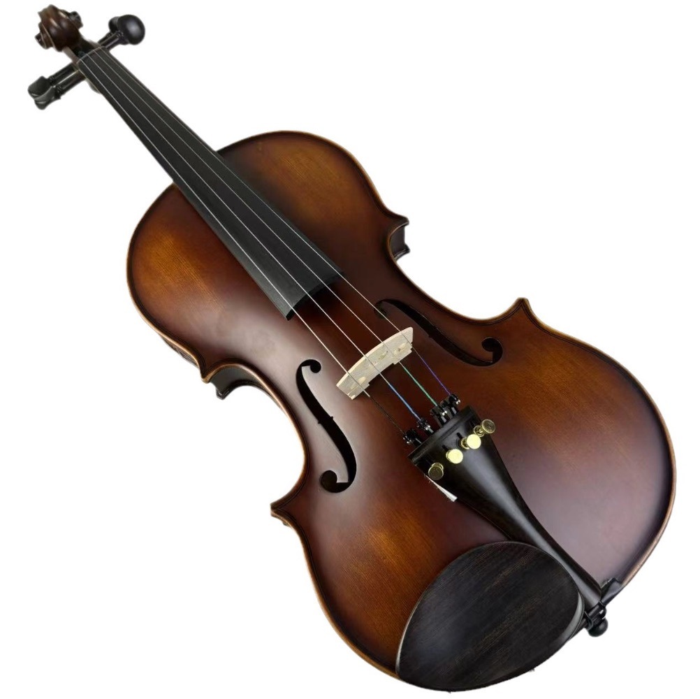 バイオリン くすんだ模様 弦楽器