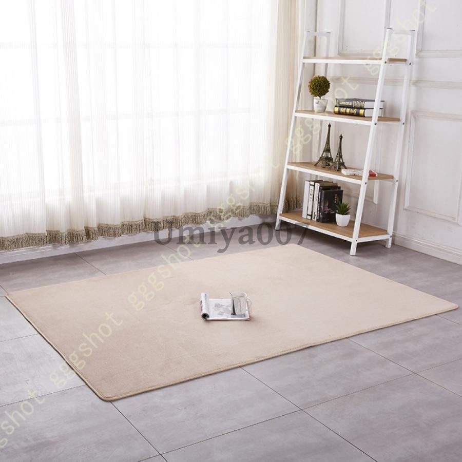 ラグ カーペット 120*160cm ラグマット 厚手 160×230 約3畳 ローズレッド 撥水加工 滑り止め付 防音 抗菌 防ダニ加工 床暖房 ホットカーペット対応 じゅうたん