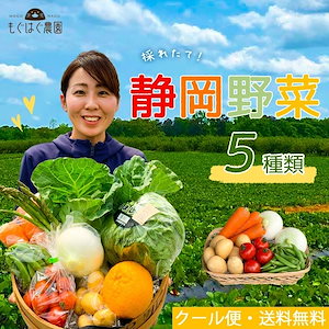 【お試し】 採れたて 静岡野菜セット 5品目 野菜 国産 静岡県産 詰め合わせ 野菜BOX 旬野菜 産地直送 新鮮 仕送り もぐはぐ