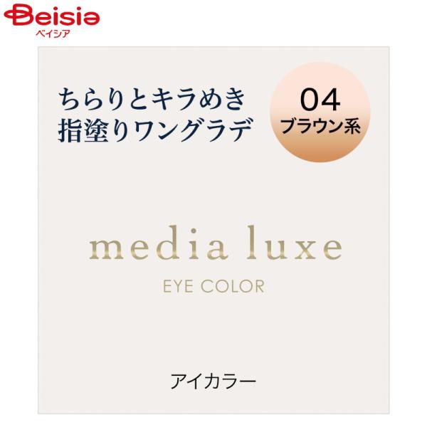 ���f�B�A �����N�X �A�C�J���[ 04 �u���E���n