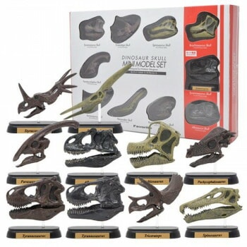 ダイナソースカルミニモデルセット FDW-570 （73570）