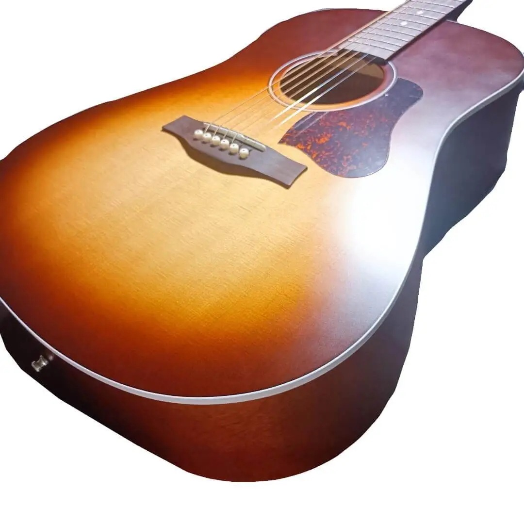 Seagull Entourage Autumn Burst アコギ